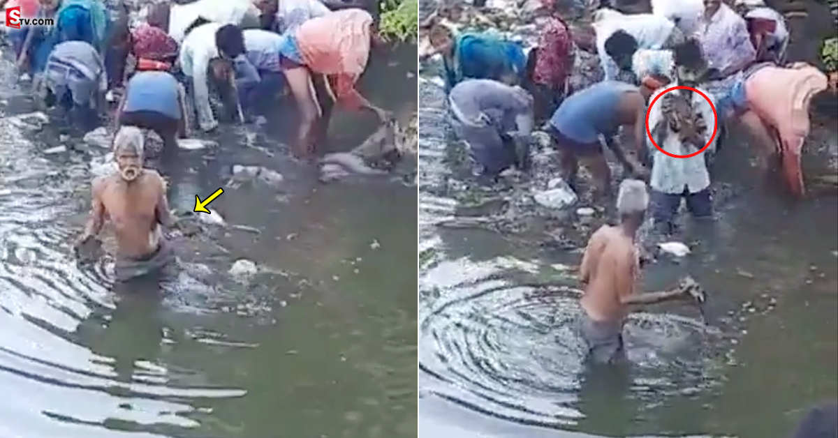 వీడియో: కాలువలో డబ్బుల కట్టలు.. అన్నీ 100, 200, 500 నోట్లే!