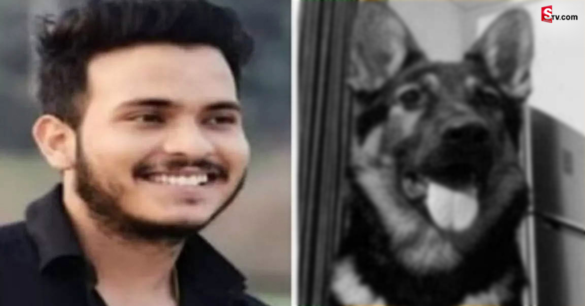 Pet Dog: ఉరేసుకున్న యజమాని.. 4 గంటలు పోరాడిన  శునకం! చివరకు అది కూడ..