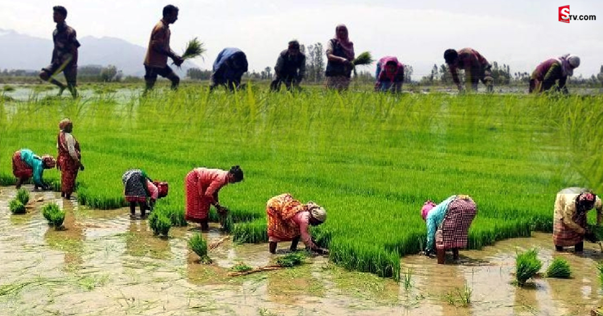 రైతులకు KCR శుభవార్త.. ఎకరానికి రూ.10 వేల సాయం!