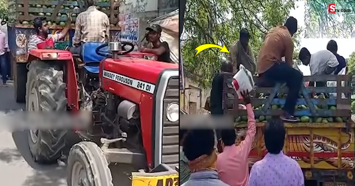 ట్రాక్టర్ మామిడి కాయలను ఉచితంగా పంచిన రైతు.. ఎగేసుకుని వచ్చిన జనాలు..