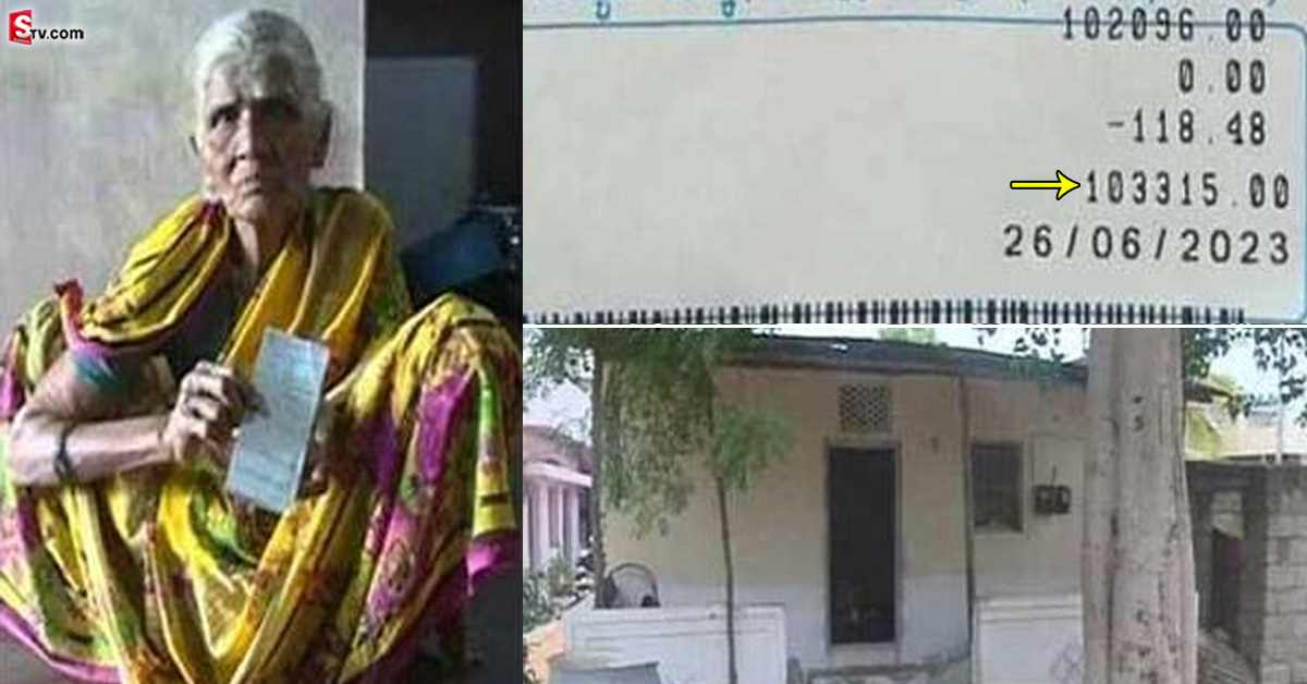 చిన్న రేకుల షెడ్.. రెండు బల్బులు, ఒక ఫ్యాన్.. కానీ కరెంట్ బిల్లు లక్ష రూపాయలు