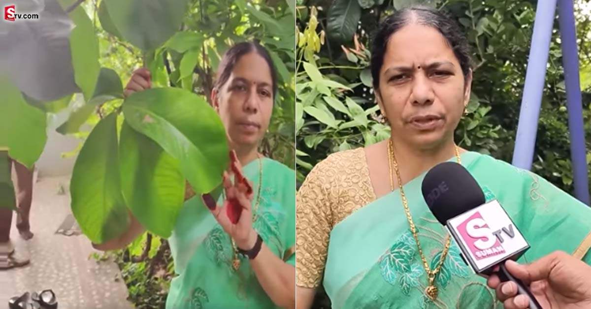 Diabetes: పెరట్లోని చెట్ల ఆకులతోనే షుగర్ వ్యాధిని తగ్గిస్తున్న మహిళ!