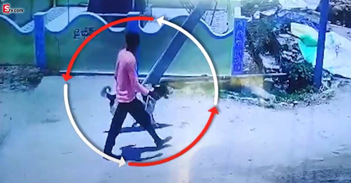 దారుణం: జింక మాంసం అనుకుని కుక్క మాంసం తిన్నారు! తర్వాత ఏం జరిగిందంటే?