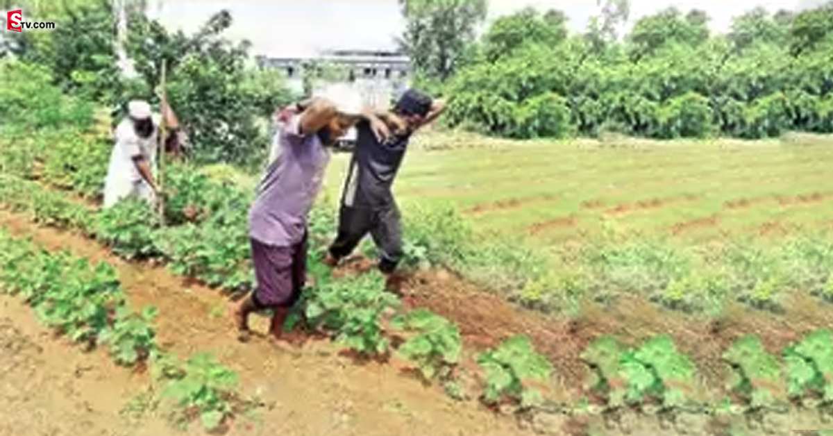 తండ్రి కష్టం చూడలేక.. కాడెద్దులుగా మారిన కొడుకులు..