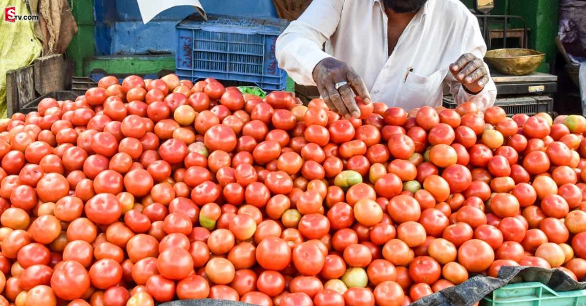 Tomato Prices: టమాటా ధరలు ఎందుకు ఇంతలా పెరుగుతున్నాయి.. ఎప్పుడు తగ్గుతాయంటే?