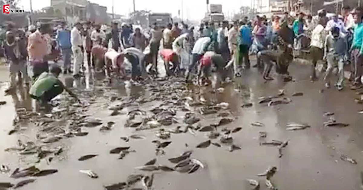 వీడియో: చేపలు పట్టేందుకు ఎగబడ్డ జనం