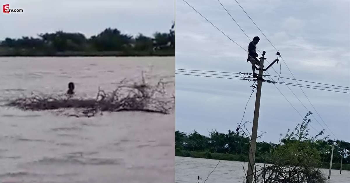 వీడియో: విద్యుత్ ఉద్యోగికి హ్యాట్సాఫ్.. భారీ వరదలో ఈదుకుంటూ వెళ్లి..