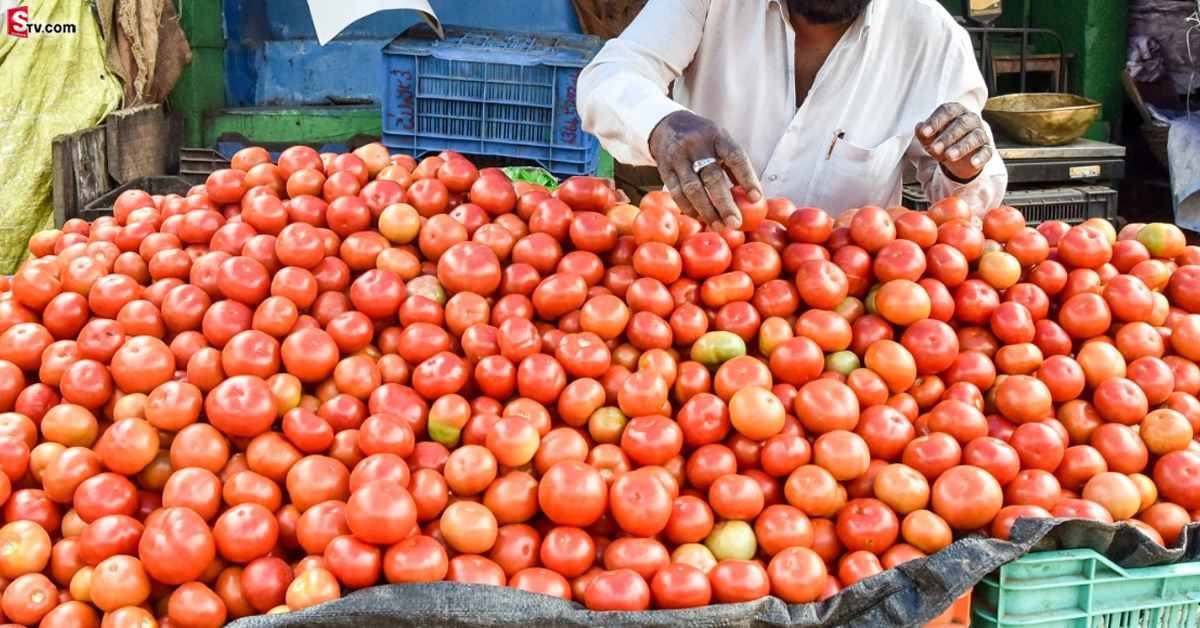 రైతుకు సిరులు కురిపించిన టమాటాలు.. ఒక్క పంటతో ఏకంగా రూ. 38 లక్షలు