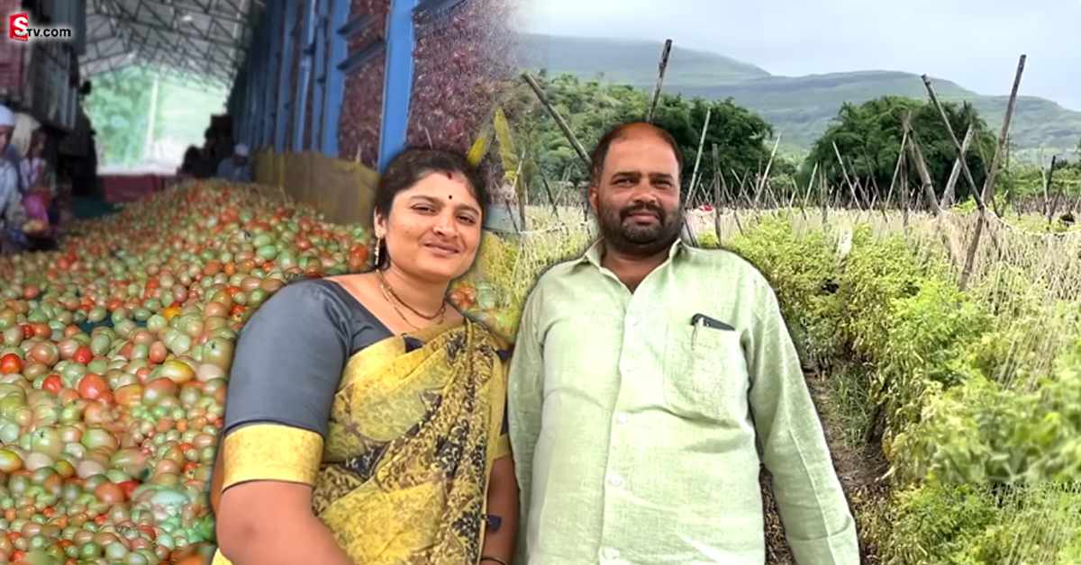 టమాటాలు అమ్మి రూ.2.81 కోట్లు సాంపాదించాడు!