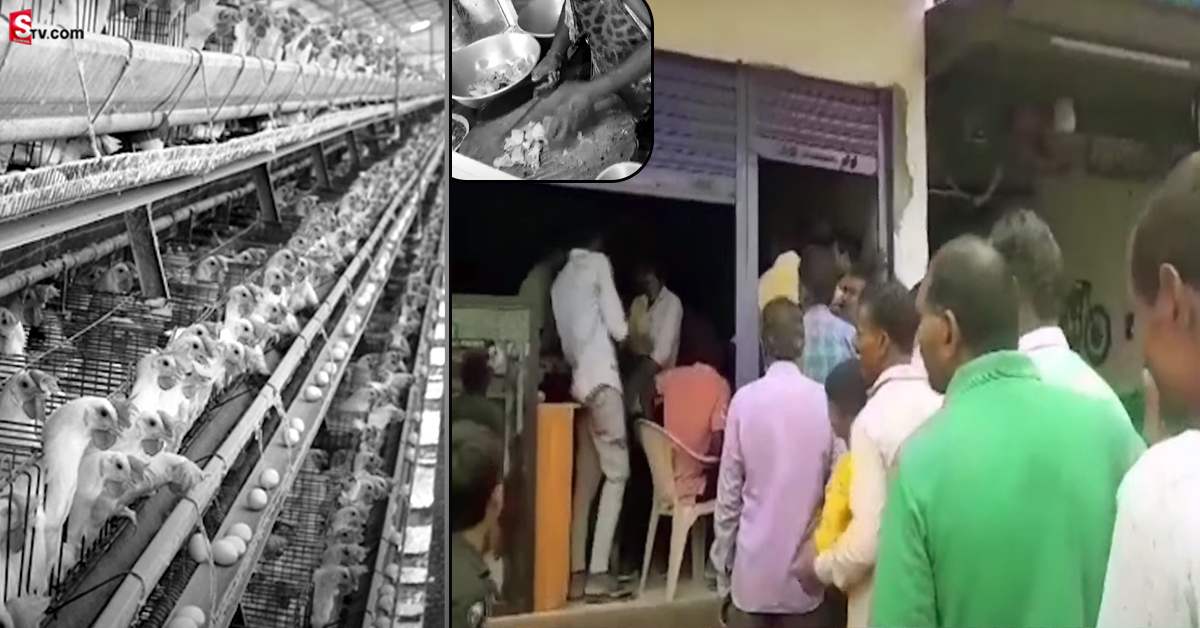 టమాటా కన్నా చవకగా.. రూ. 100కే కిలో చికెన్.. ఎక్కడంటే..?