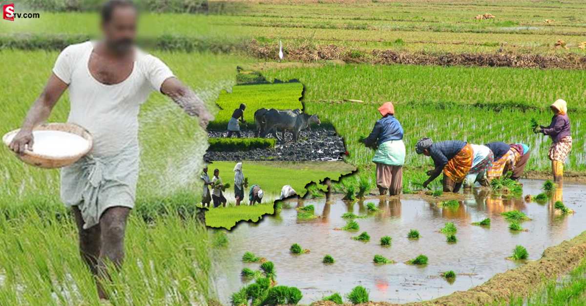 తెలంగాణ రైతులకు కేంద్రం గుడ్‌న్యూస్..!