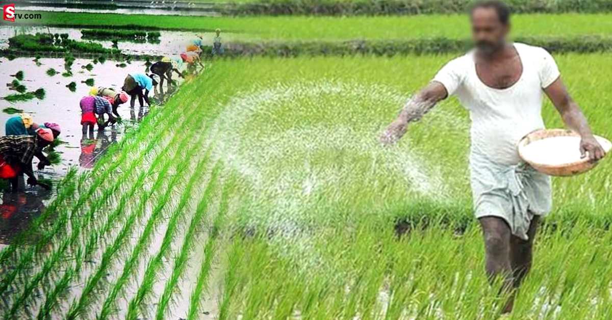 Telangana Government: ప్రభుత్వం గుడ్ న్యూస్.. రైతుల ఖాతాల్లో నగదు జమ!