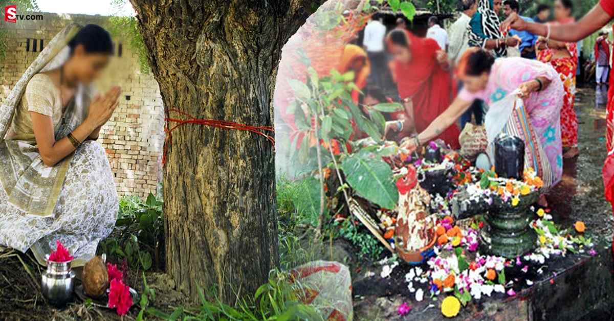 Somvati Amavasya 2023:ఈ రోజే సోమావతి అమావాస్య! సాయంత్రంలోగా ఇలా చేస్తే ఆకస్మిక ధన లాభం!