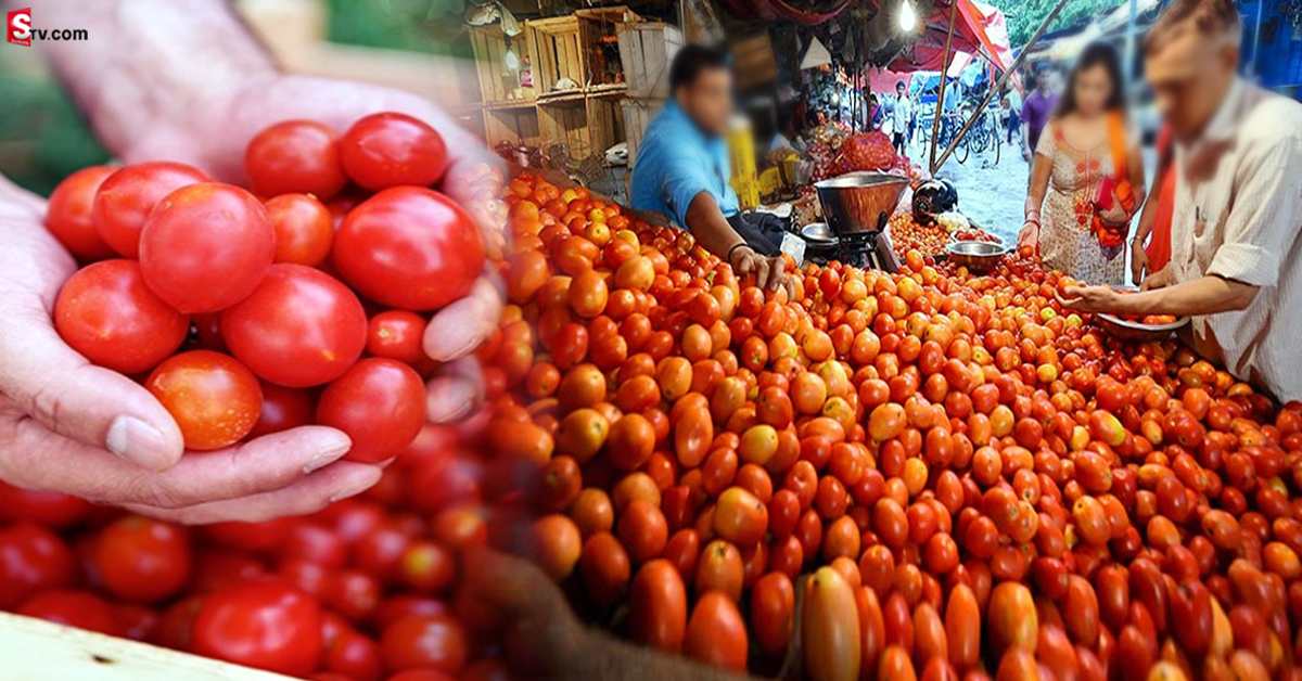 Kg Tomato Rs.50: రైతు బజార్లలో 50 రూపాయలకే కిలో టమాటా.. ఎక్కడెక్కడంటే?