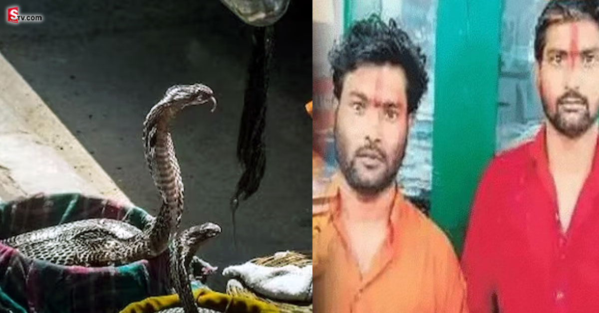 సాధువుల వేషం ధరించి.. పాములతో భయపెట్టి.. నయా చోరీ