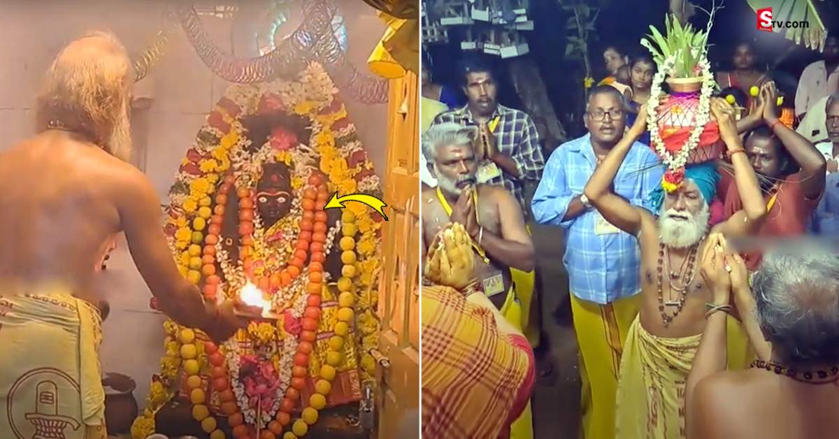 ధరలు తగ్గాలని టమాటా మాలతో అమ్మవారికి పూజలు..!