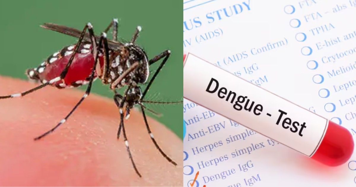 డెంగ్యూ లక్షణాలు ఎలా గుర్తించాలి, ఎందుకు ఇది ప్రమాదకరం